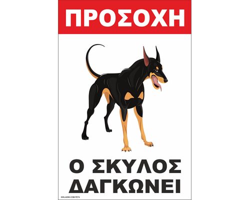 PET4